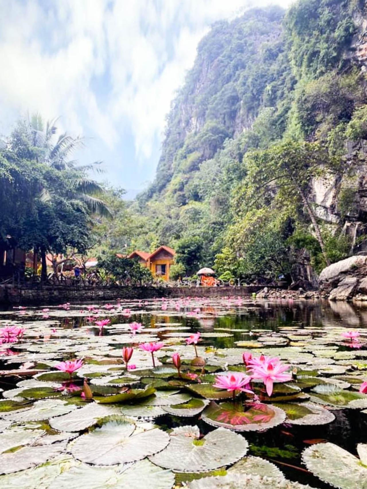 Tam Coc Rocky Bungalow ニンビン エクステリア 写真